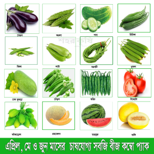 ১৬ ধরনের সবজি বীজ কম্বো