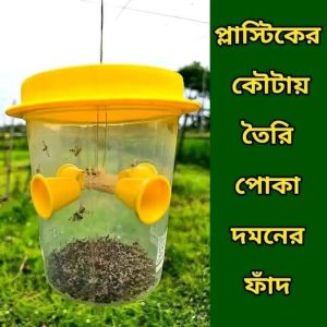 ফেরোমন প্লাস্টিক ফাঁদ