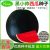 কালো তরমুজ  বীজ | Black Watermelon Seeds