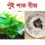 পুই শাক