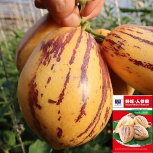 পেপিনো মেলন বীজ | Pepino Melon Seeds