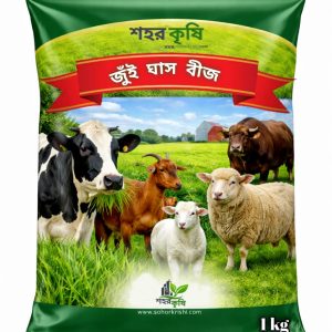জুঁই ঘাস বীজ JuiGrass