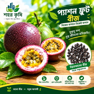 পার্পল প্যাশন ফলের বীজ | Purple Passion Fruit Seeds